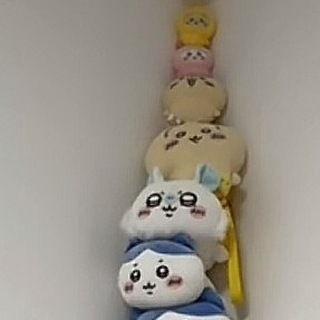 Telegram profile photo for 公益资源分享频道🇨🇳