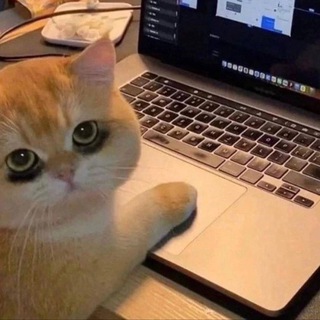 Telegram profile photo for Чат клуба анонимных любителей химии