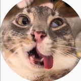 Telegram profile photo for m&lqxxws