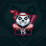 Telegram profile photo for Ts trader