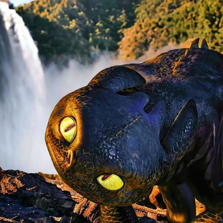 Telegram profile photo for ʜᴏᴡ ᴛᴏ ᴛʀᴀɪɴ ʏᴏᴜʀ ᴅʀᴀɢᴏɴ 🐉