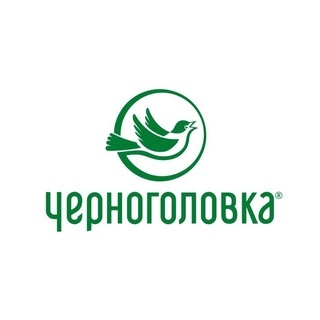 Telegram profile photo for ГК Черноголовка