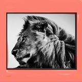 Telegram profile photo for Covid long et post vaccinal / 974