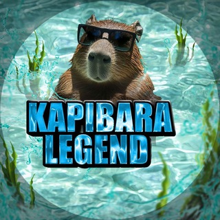 Telegram profile photo for Lawka kapi
