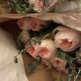 Telegram profile photo for "魅惑的な" / ⓘ .. whispers of eternity lingered