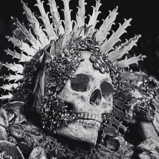 Telegram profile photo for Смертач Daily