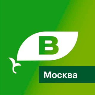 Telegram group profile photo for Клуб ВегМарт Москва