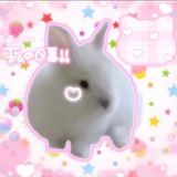 Telegram profile photo for 𝐌EM♡RiA