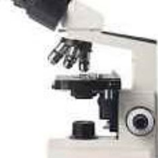 Telegram profile photo for ASTUSS@BIO2022