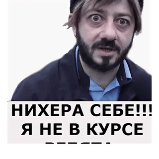 Telegram profile photo for Мы в курсах