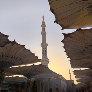 Telegram profile photo for Nassima El Hadj
