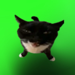 Telegram profile photo for Студия Бахра