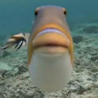 Telegram profile photo for два стула