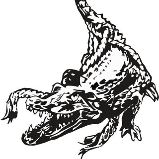 Telegram profile photo for Школа карате Кайман