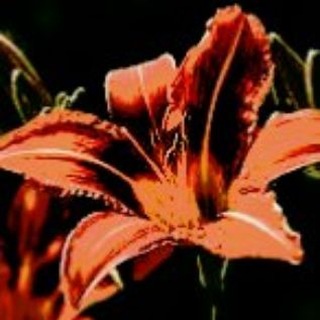 Telegram profile photo for Rest. ︴𝐊𝐲𝐥𝐞'𝐬 𝚜𝚊𝚗𝚌𝚝𝚞𝚊𝚛𝚢.