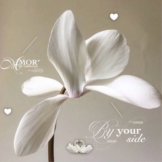 Telegram profile photo for myzä–ateliér ♡