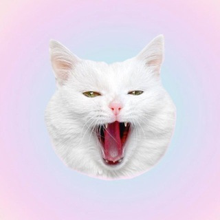 Telegram group profile photo for Фан-клуб Sofiadelmonstro