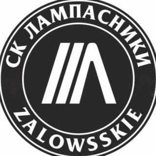 Telegram profile photo for Лампасник media. Челябинск