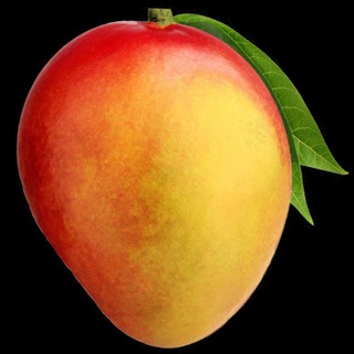 Telegram profile photo for Mangonote 🥭(MNN) and Morelo 🍑(MRL) mining coin Rus🇷🇺