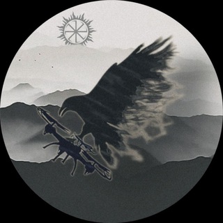 Telegram profile photo for Per aspera ad astra (Через тернии к звёздам)