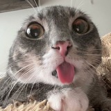 Telegram profile photo for To infinity... and beyond