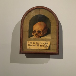 Telegram profile photo for The head’s cage