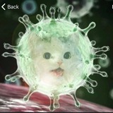 Telegram profile photo for Covid Memes & News 2026