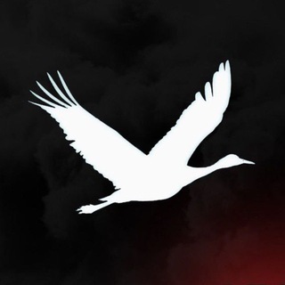 Telegram profile photo for Zабайкальский Фронт