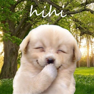 Telegram profile photo for $Hihi portal