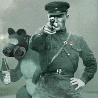 Telegram profile photo for Кировский чекист | Z |