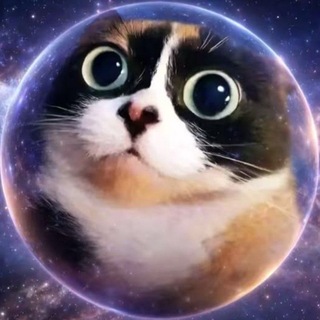 Telegram profile photo for амбассадоры щитпоста