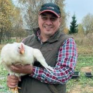 Telegram profile photo for Развод куриц бройлеров