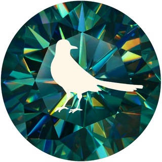 Telegram profile photo for Магазин Сорока @coroka_59