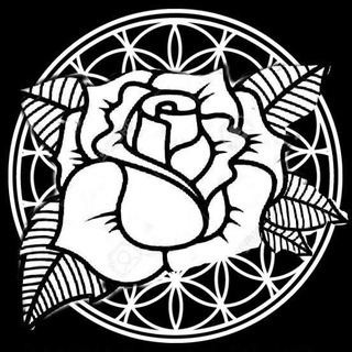 Telegram profile photo for The White Rose España