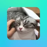 Telegram profile photo for Блог дефика
