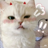 Telegram profile photo for Asastra Andromedáz.