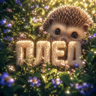 Telegram profile photo for Плед-Лайв 2.0