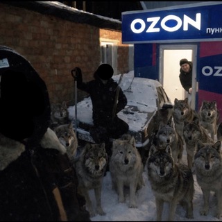 Telegram profile photo for Здравые перекупы