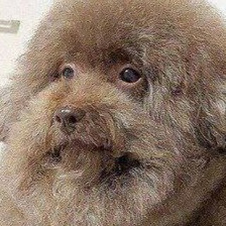 Telegram profile photo for yeban3000