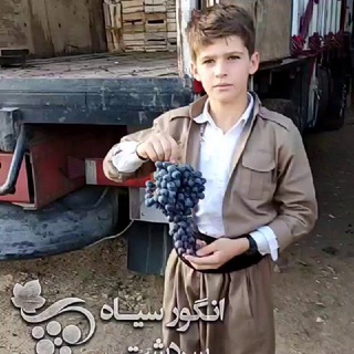 Telegram profile photo for انگور سیاه دیمی سردشت (رشه)