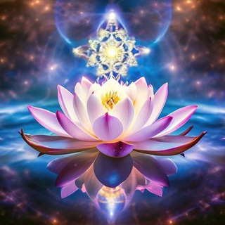 Telegram profile photo for 💃🕺 И не ЗОЖем единым...