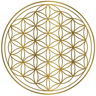 Telegram profile photo for Infocentrála ☕️