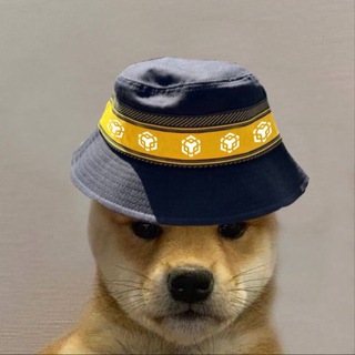 Telegram profile photo for BNB DOGE $BOGE