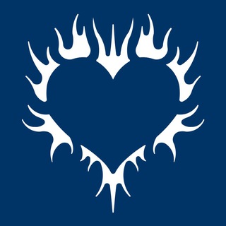 Telegram profile photo for Hasta Team