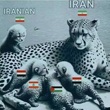 Telegram profile photo for آیدی این کانال فروشی است..