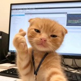 Telegram profile photo for ๐๐ ๐๐๐ ๐๐๐