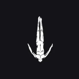 Telegram profile photo for ANYMA CRYPTO