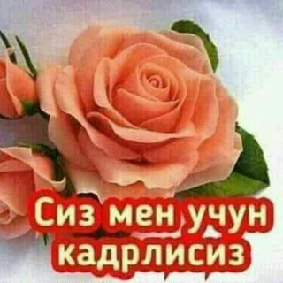 Telegram profile photo for 💐БЕГОЙИМ💐