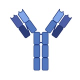 Telegram profile photo for АЛЛЕРГОЛОГИЯ, ИММУНОЛОГИЯ, КЛЕТОЧНАЯ ТЕРАПИЯ