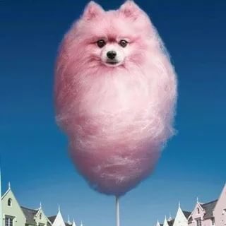 Telegram profile photo for ВатаДВ